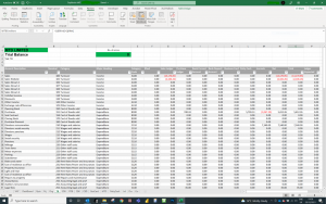 Trial Balance